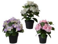 Kunstlill Hortensia potis 24cm valik